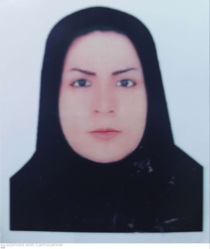 مینا نجفی