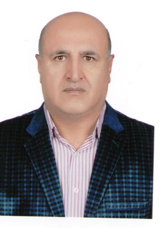 دکتر حمیدرضا محمدی